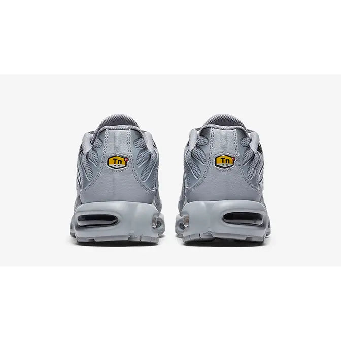 Tn Air Max Plus Wolf Grey Silver