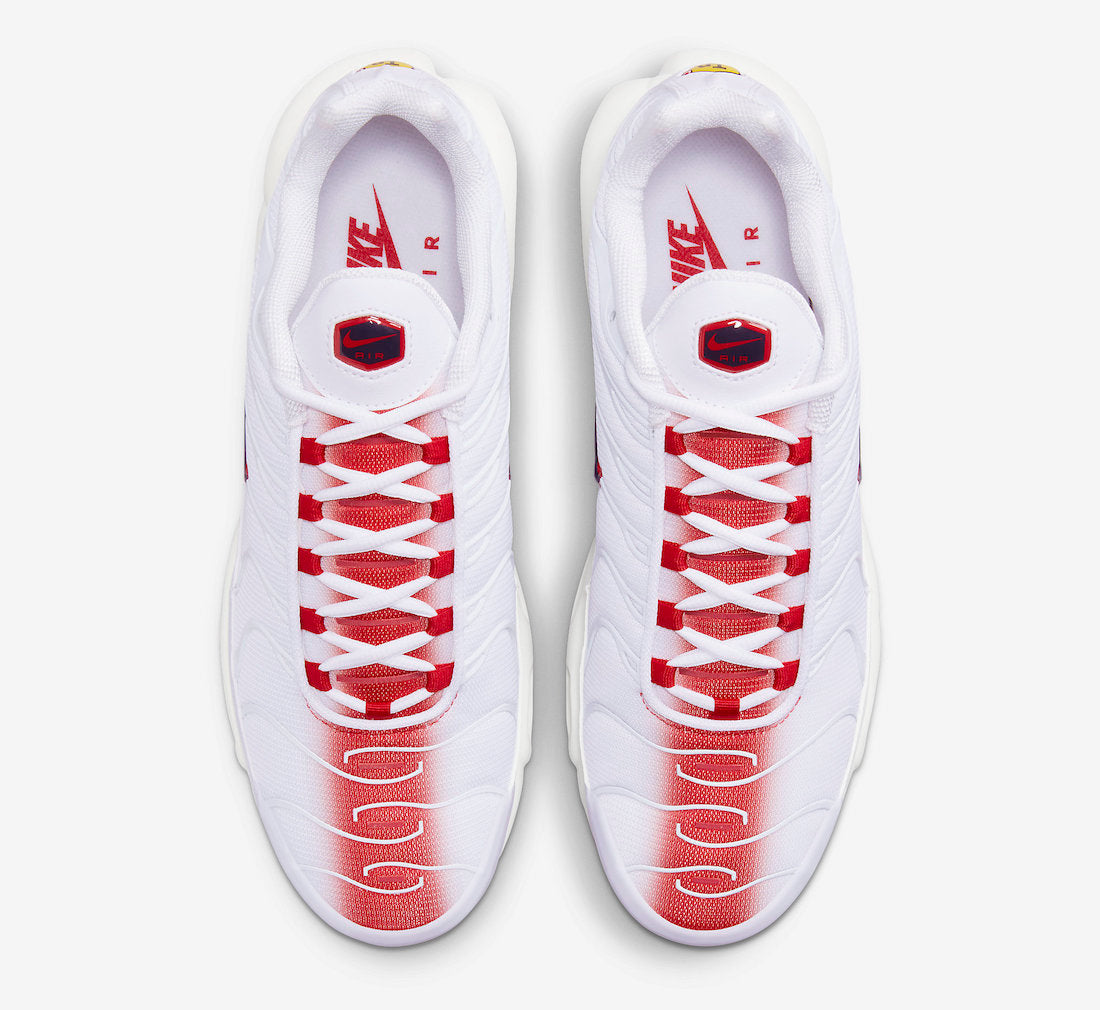 Air Max Plus FN3410-100