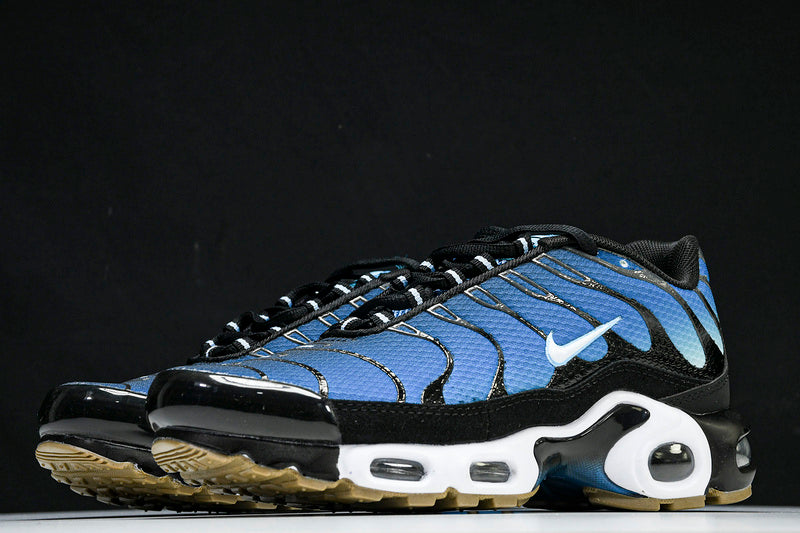 Air Max Plus “AQUARIUS”