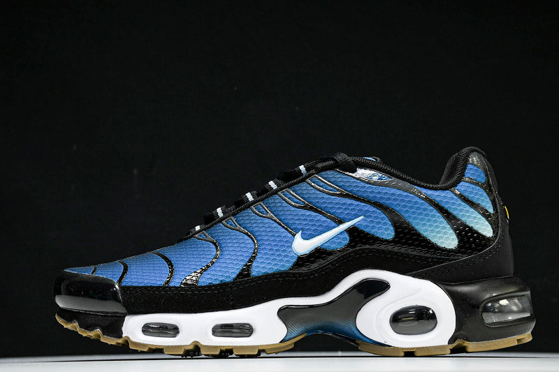 Air Max Plus “AQUARIUS”
