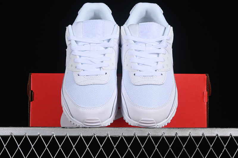AIR MAX 90 WHITE/METALLIC SILVER