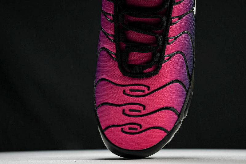 Air Max Plus FJ5481-010