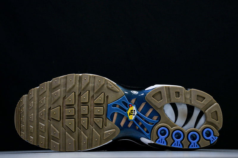 Air Max Plus “AQUARIUS”