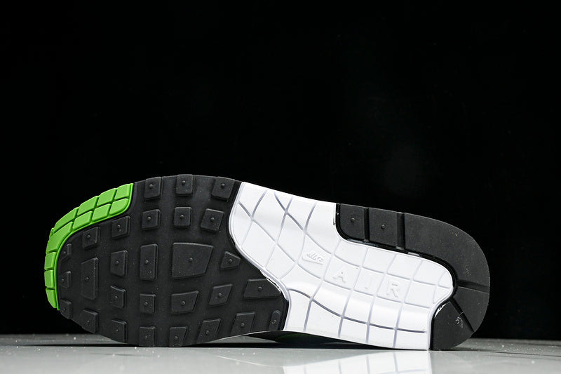 Air Max 1 CHLOROPHYLL/MATTE