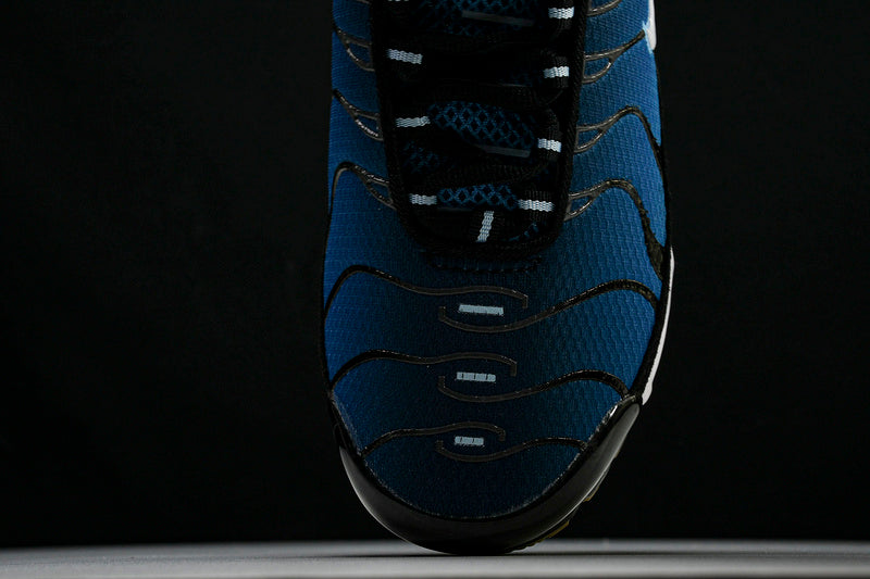 Air Max Plus “AQUARIUS”