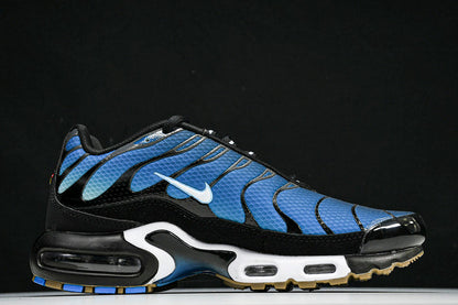Air Max Plus “AQUARIUS”