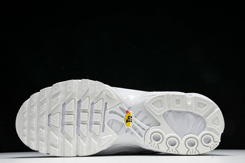 TN Air Max Plus  White/Grey