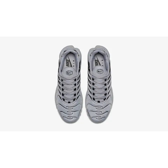 Tn Air Max Plus Wolf Grey Silver