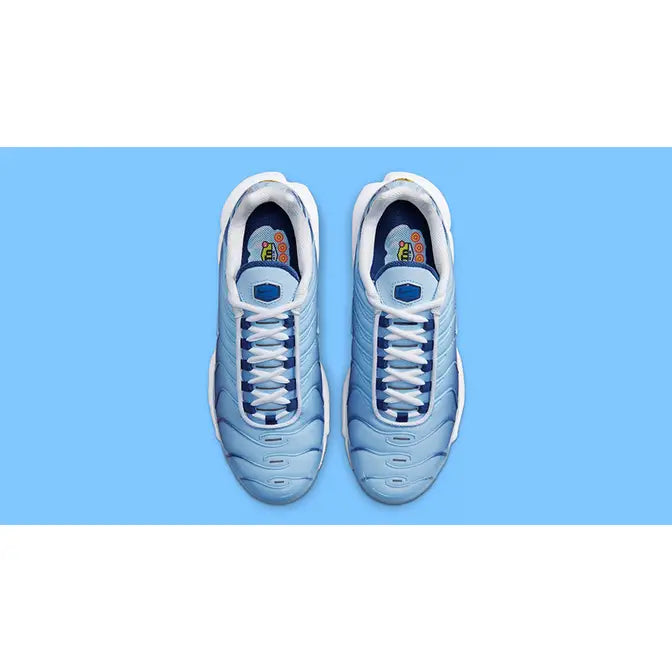 Air Max Plus FJ4736-400