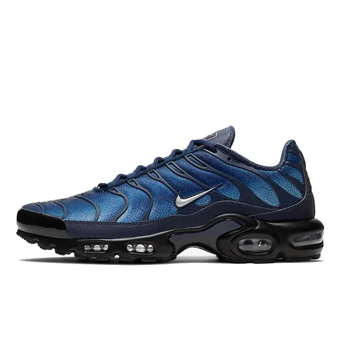 Air Max Plus “Blue Hex” DC1935-400