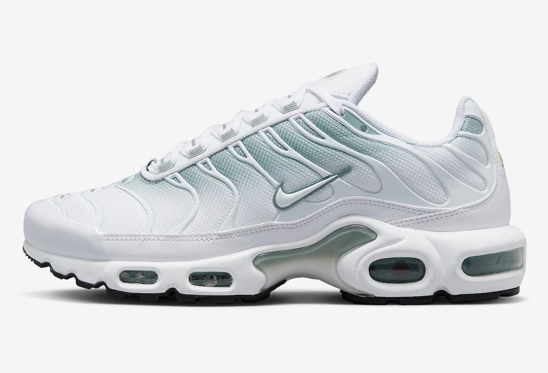Air Max Plus DZ3670-100