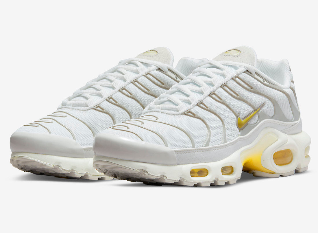 Air Max Plus DV6987-100