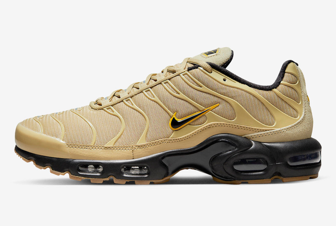 Air Max Plus DZ4501-700