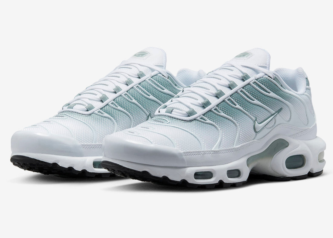 Air Max Plus DZ3670-100