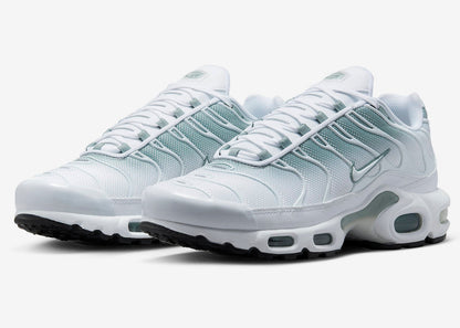 Air Max Plus DZ3670-100