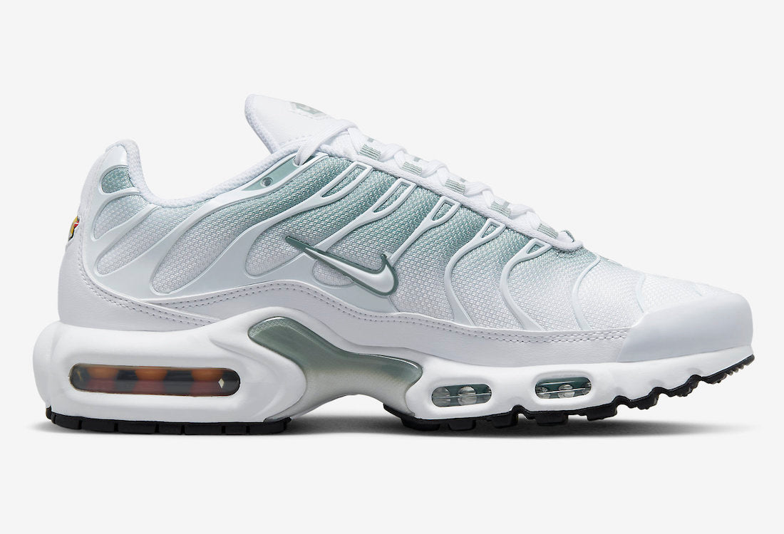 Air Max Plus DZ3670-100