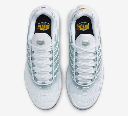 Air Max Plus DZ3670-100