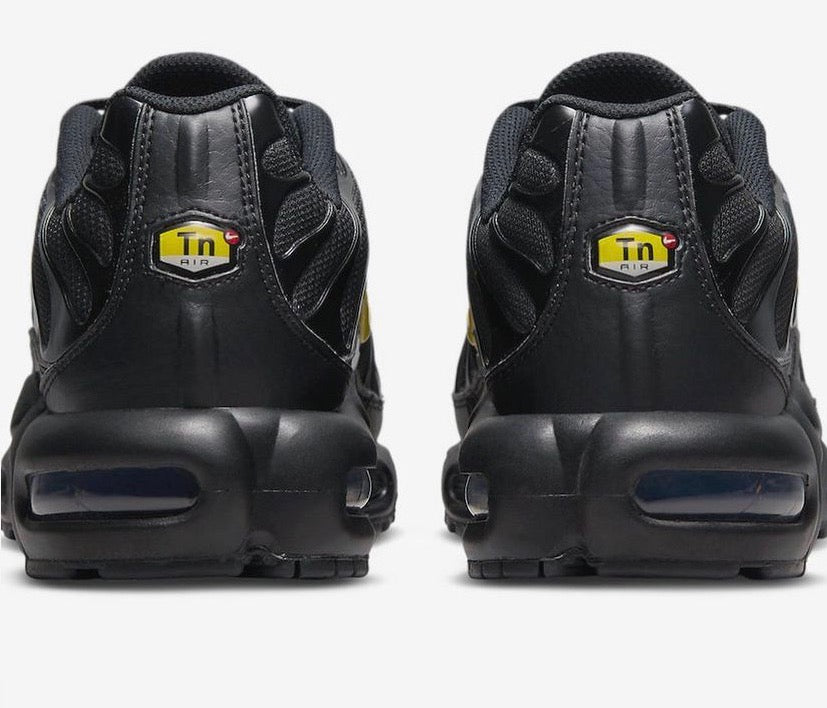 TN Air Max Plus (Mens)