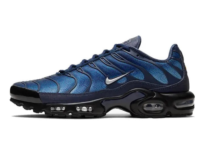 Air Max Plus “Blue Hex” DC1935-400