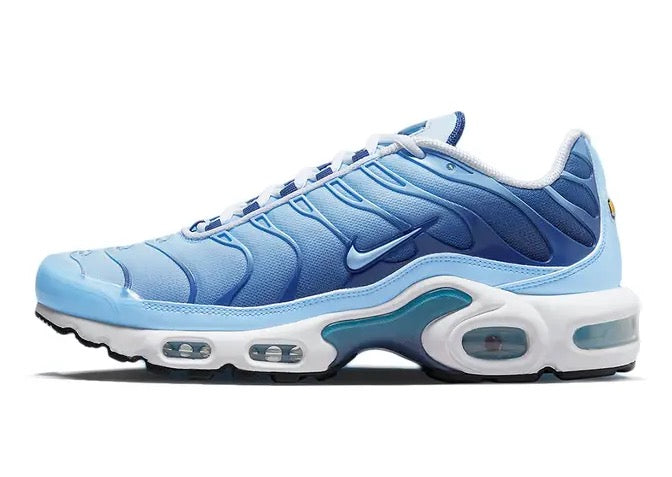 Air Max Plus FJ4736-400
